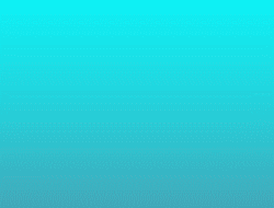 18135_0