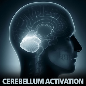 Store_CerebellumActivation