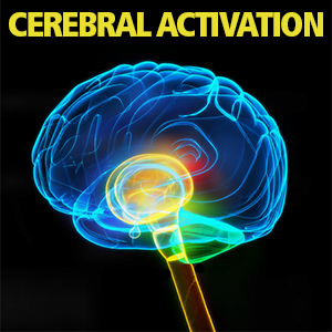 Store_CerebralActivation