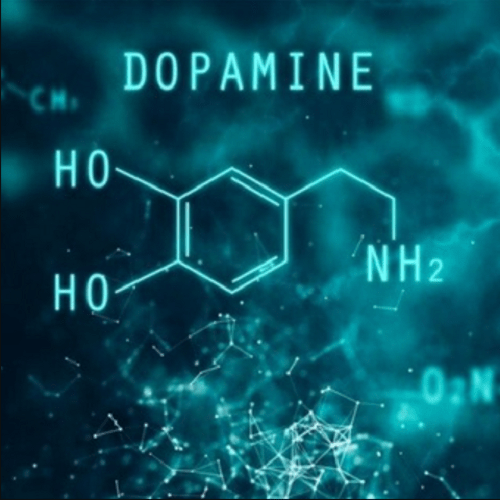 sergej-bryzgalin-podnimaem-uroven-dofamina-2021