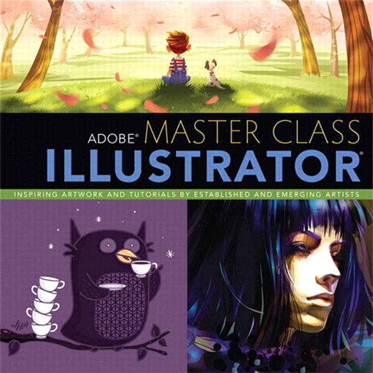 adobe-master-class-illustrator-screenshot